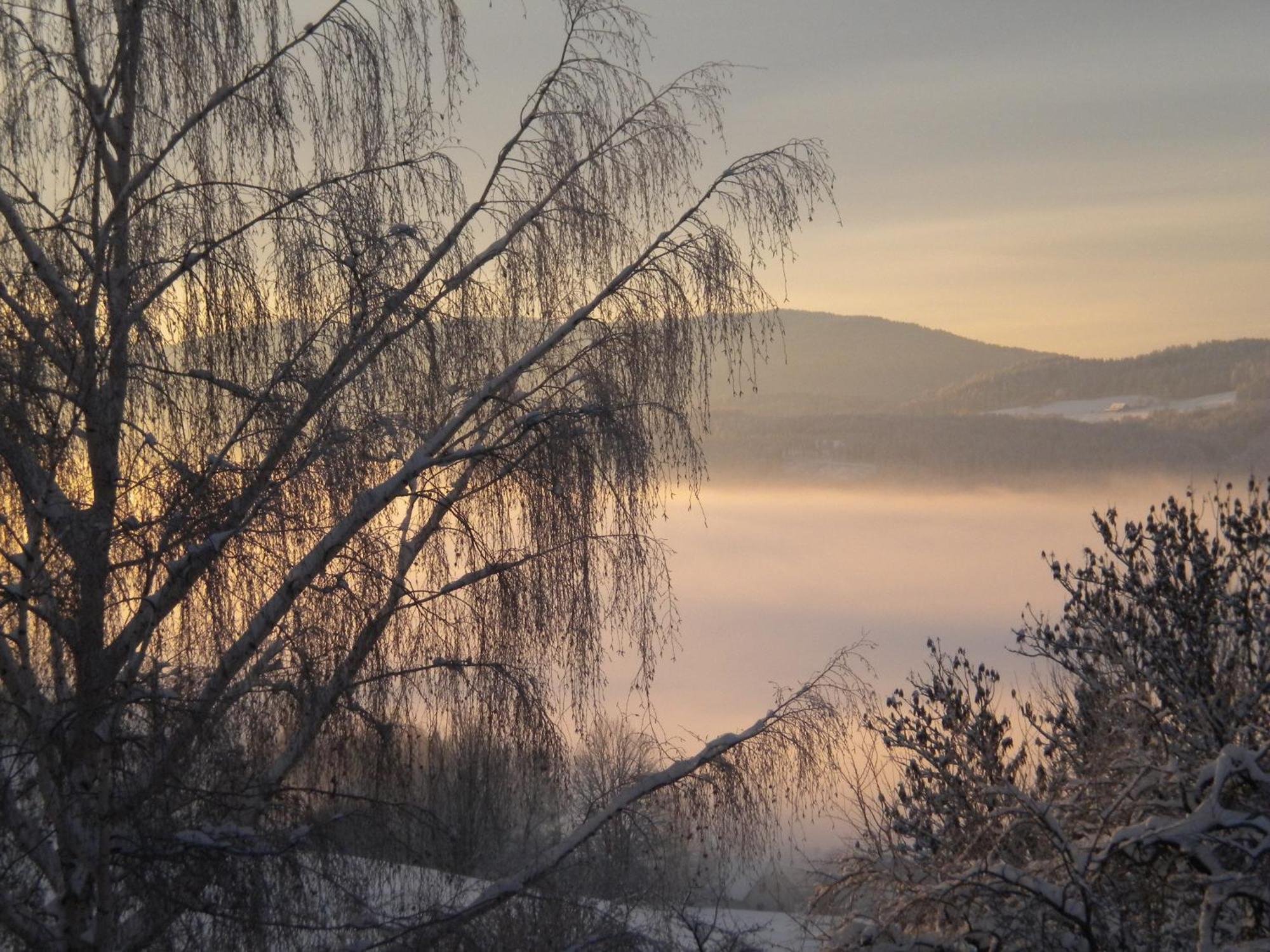 Naturpark Bauernhof Sperl Mariahof Buitenkant foto