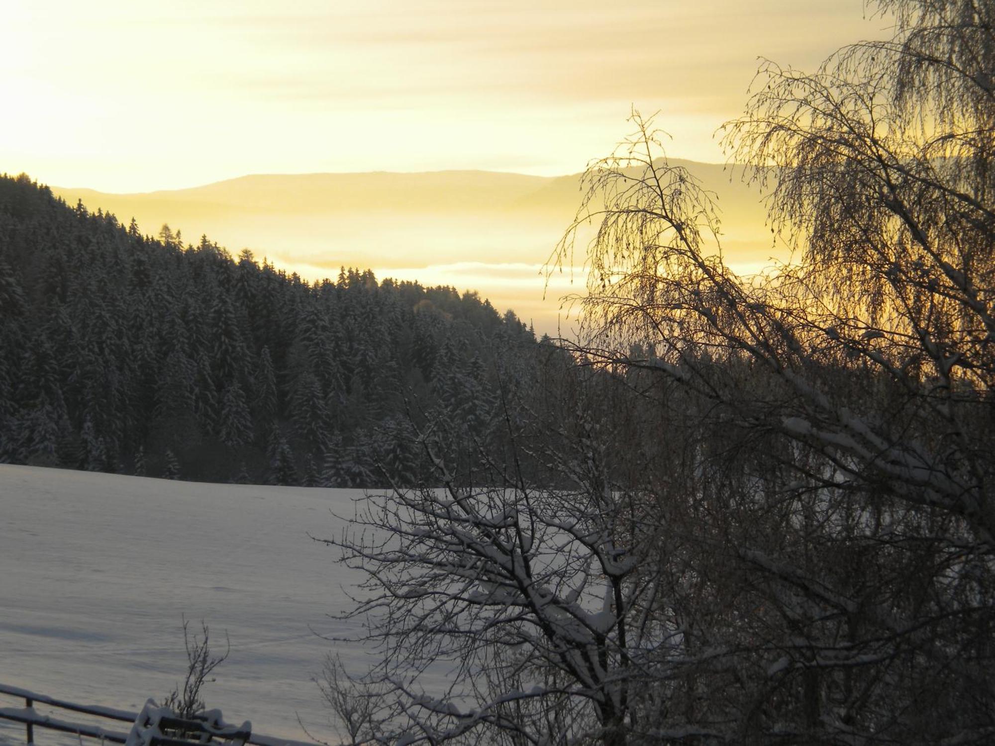 Naturpark Bauernhof Sperl Mariahof Buitenkant foto