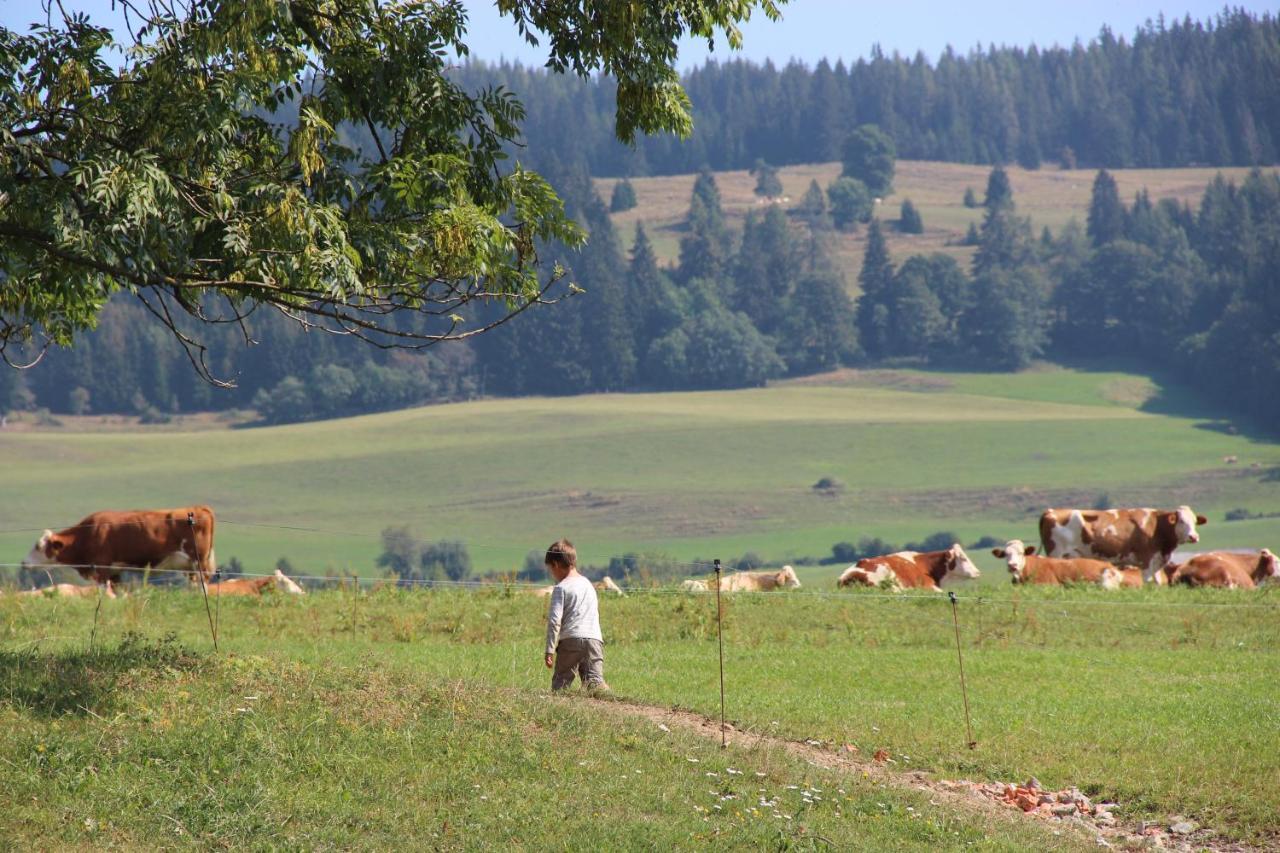 Naturpark Bauernhof Sperl Mariahof Buitenkant foto